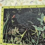 PRINT - A5 Moorhen in Inky Waters