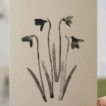 PRINT -  Alicia Breakspear A5 Botanical